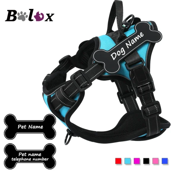 Personalized Dog Harness NO PULL