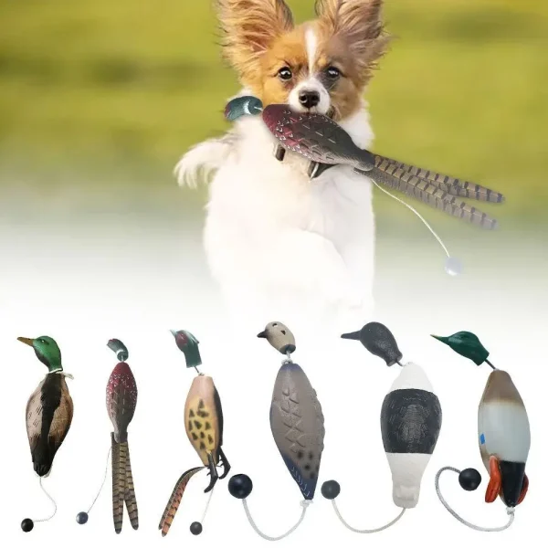Simulation Mallard Duck Decoy Dog Training