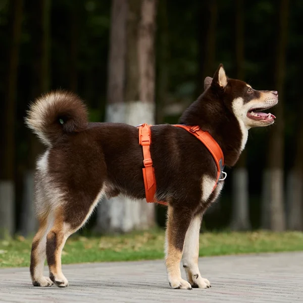 Dog Harness for Small Medium Large Dogs No Pull Reflective