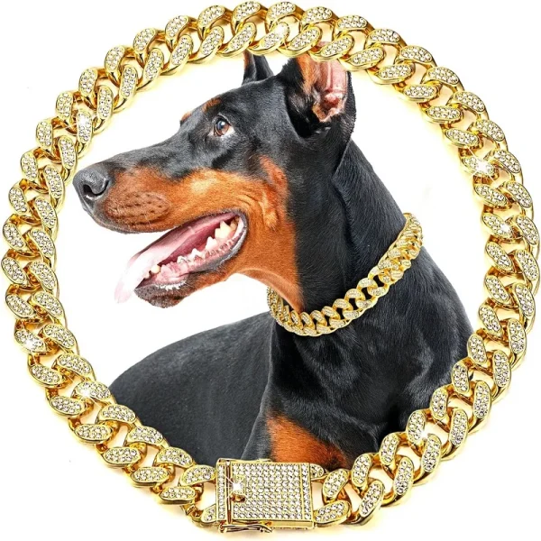 Luxury Gold Pet Metal Chain Collar For Small Medium Large Dogs