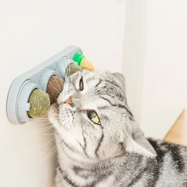 4 in 1 Rotating Catnip
