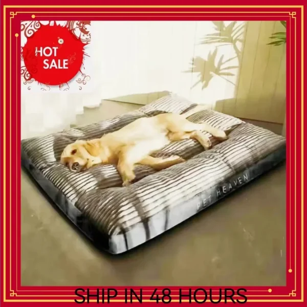 Dog Bed Washable